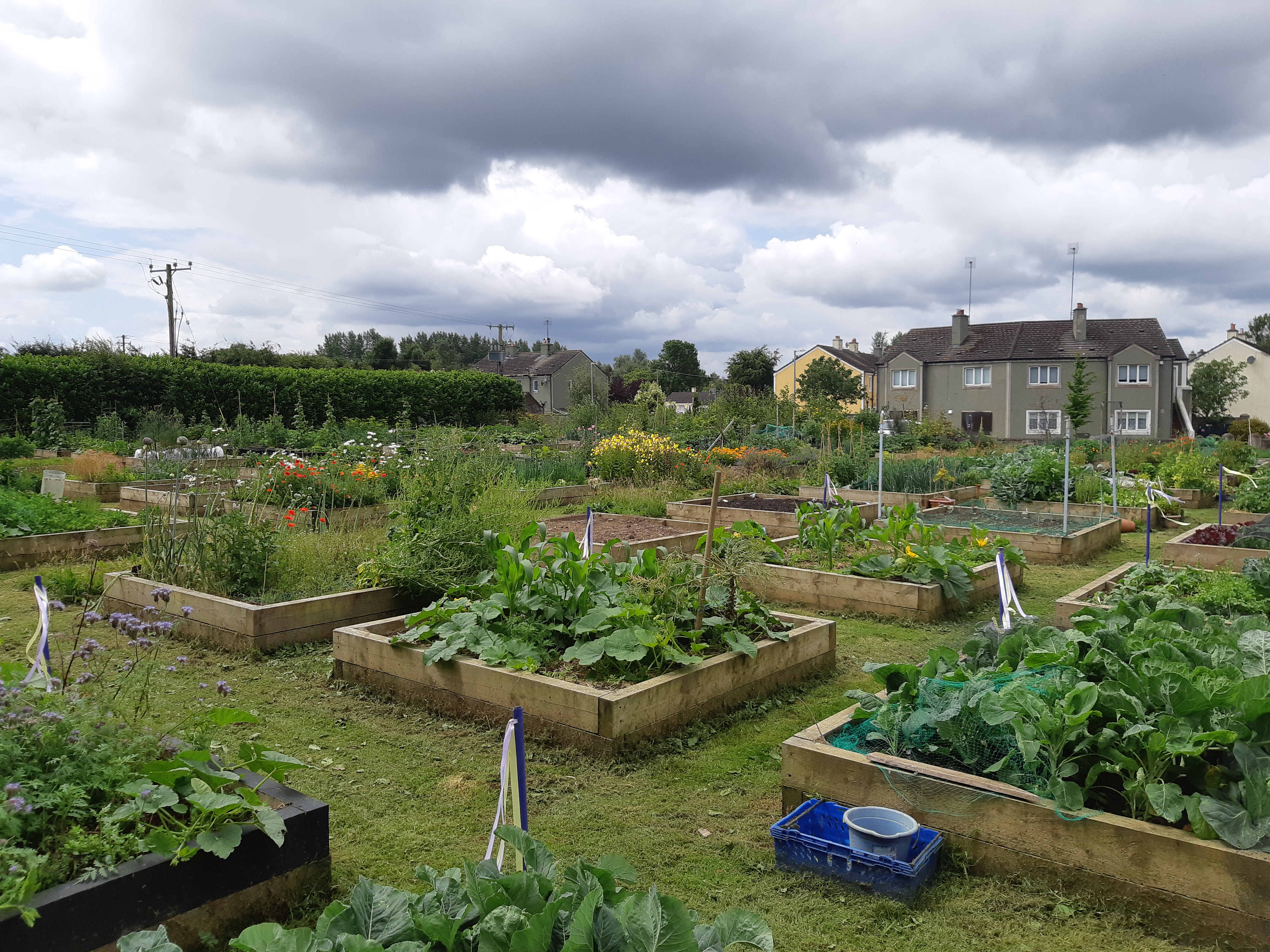 Zero Waste Community Garden, Rathcoffey